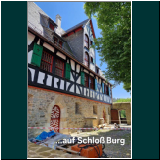 P1000643WhatsApp Image 2024-06-13 at 07.44.45(7).jpg